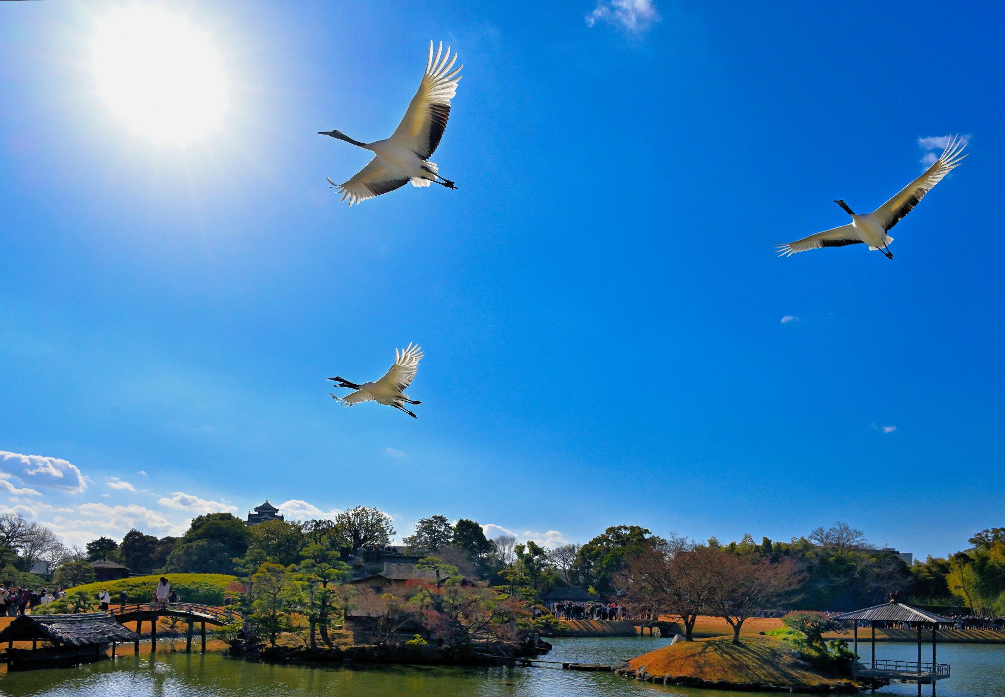令和8年後楽園カレンダー表紙