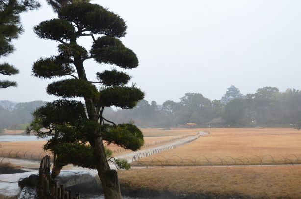 気温が低く靄（もや）がかかった園内。