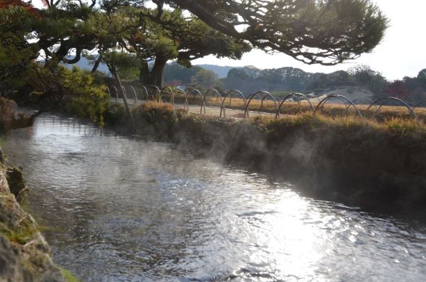 曲水の朝もや。