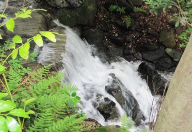 曲水が勢いよく流れる花交の滝の写真