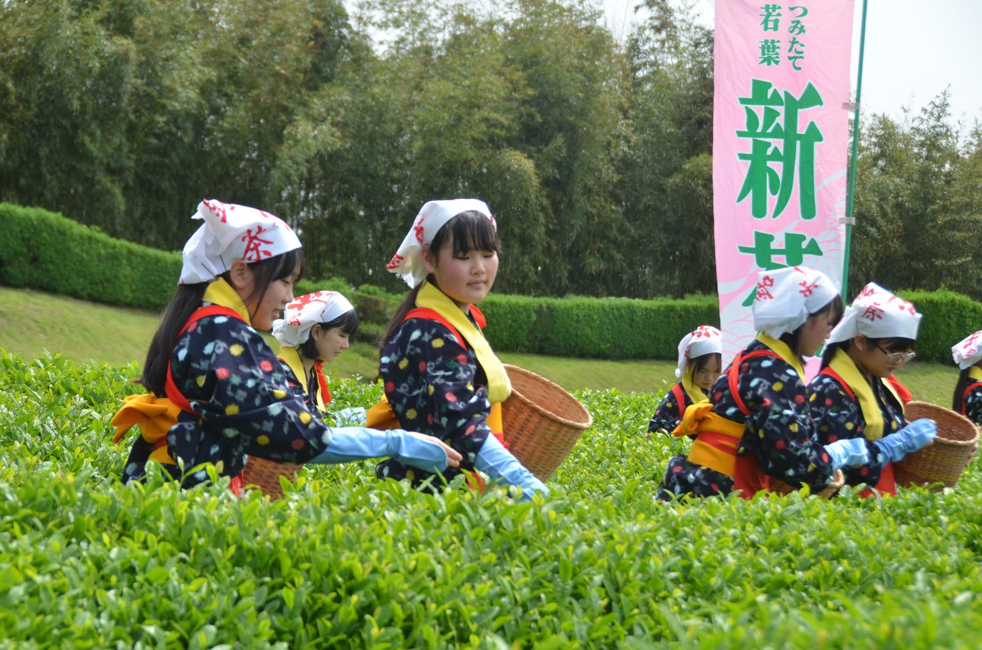 茶罪の様子