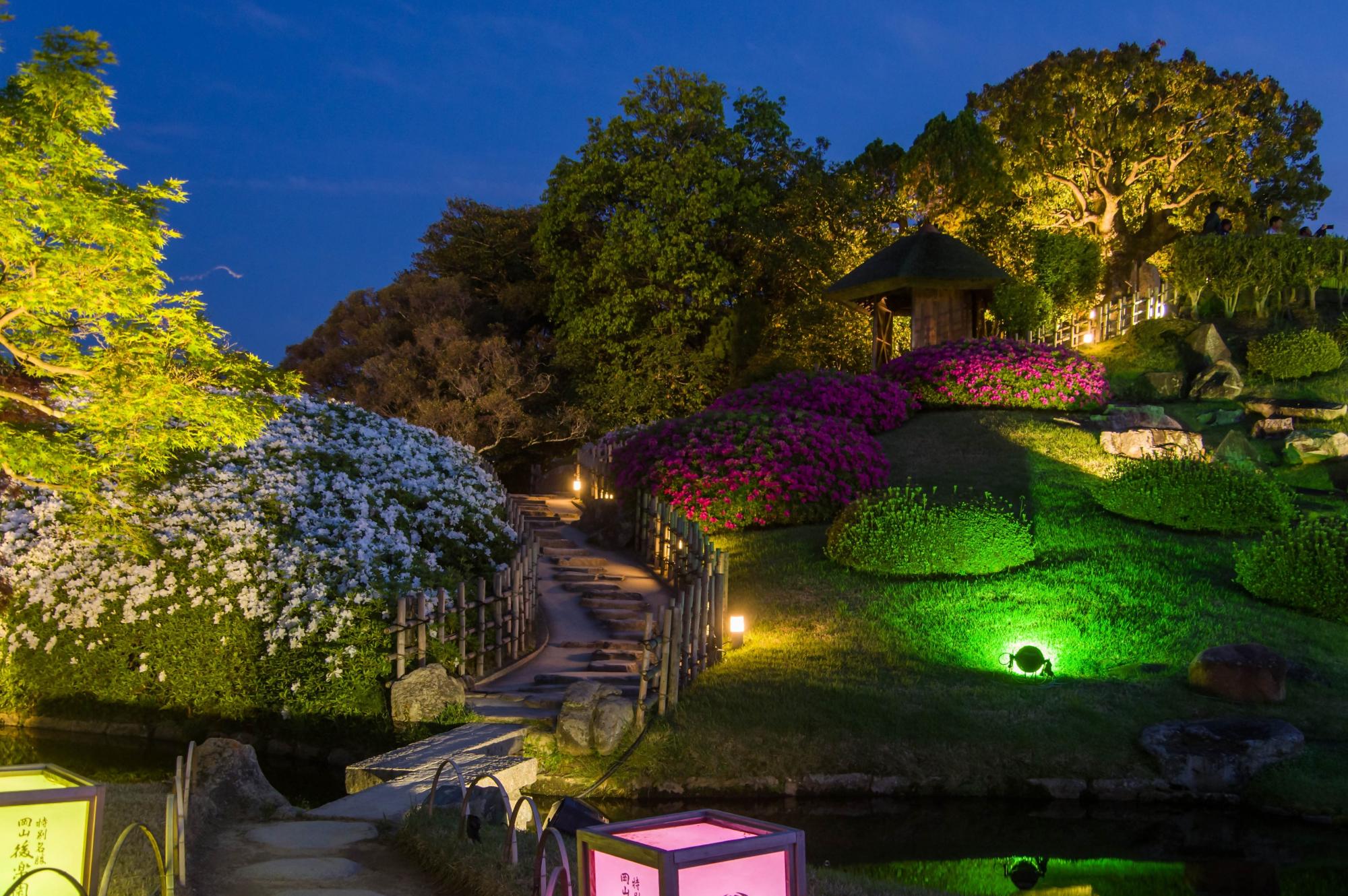春の幻想庭園の唯心山ライトアップ