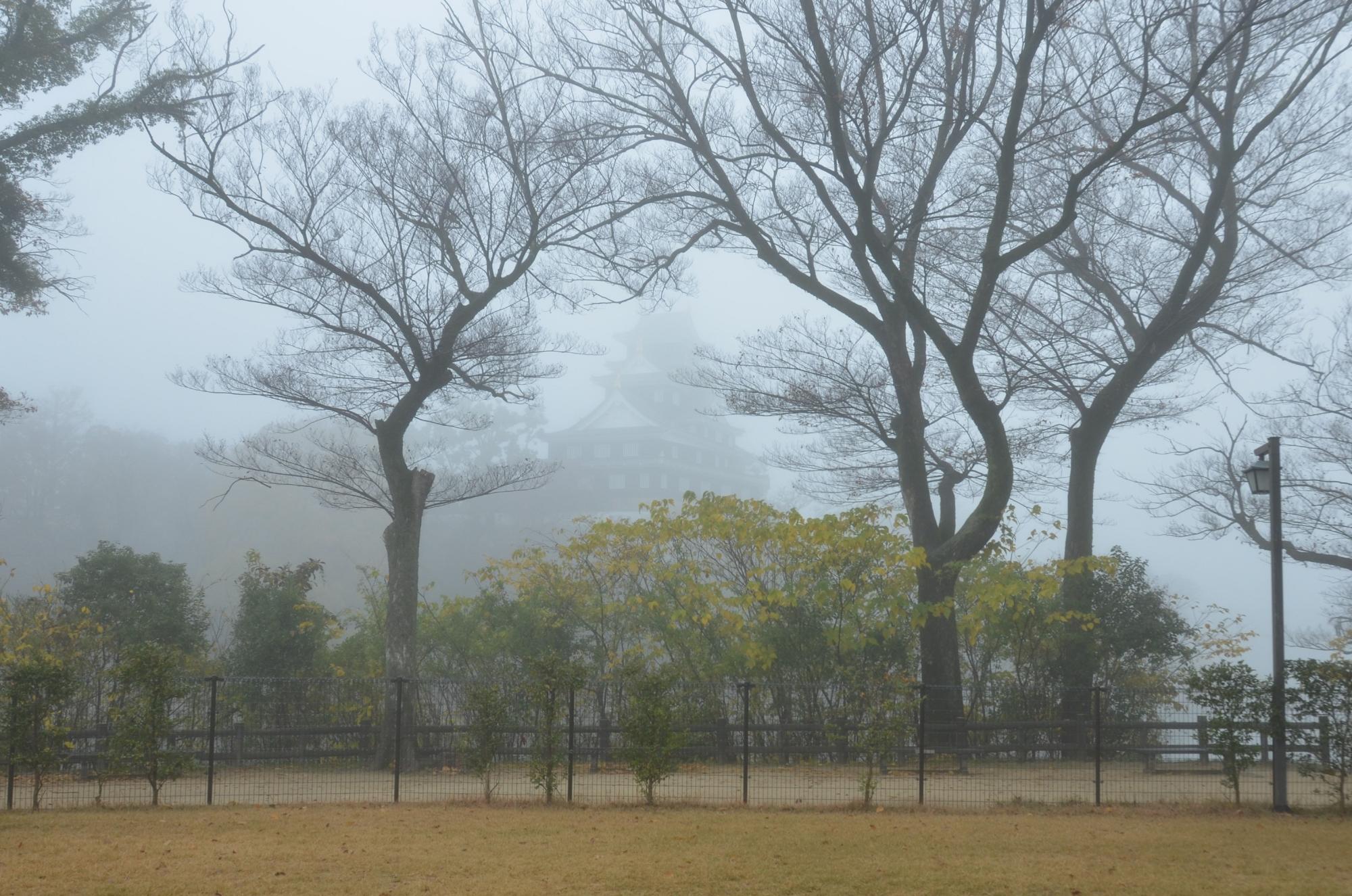 濃霧に包まれた岡山城天守閣。