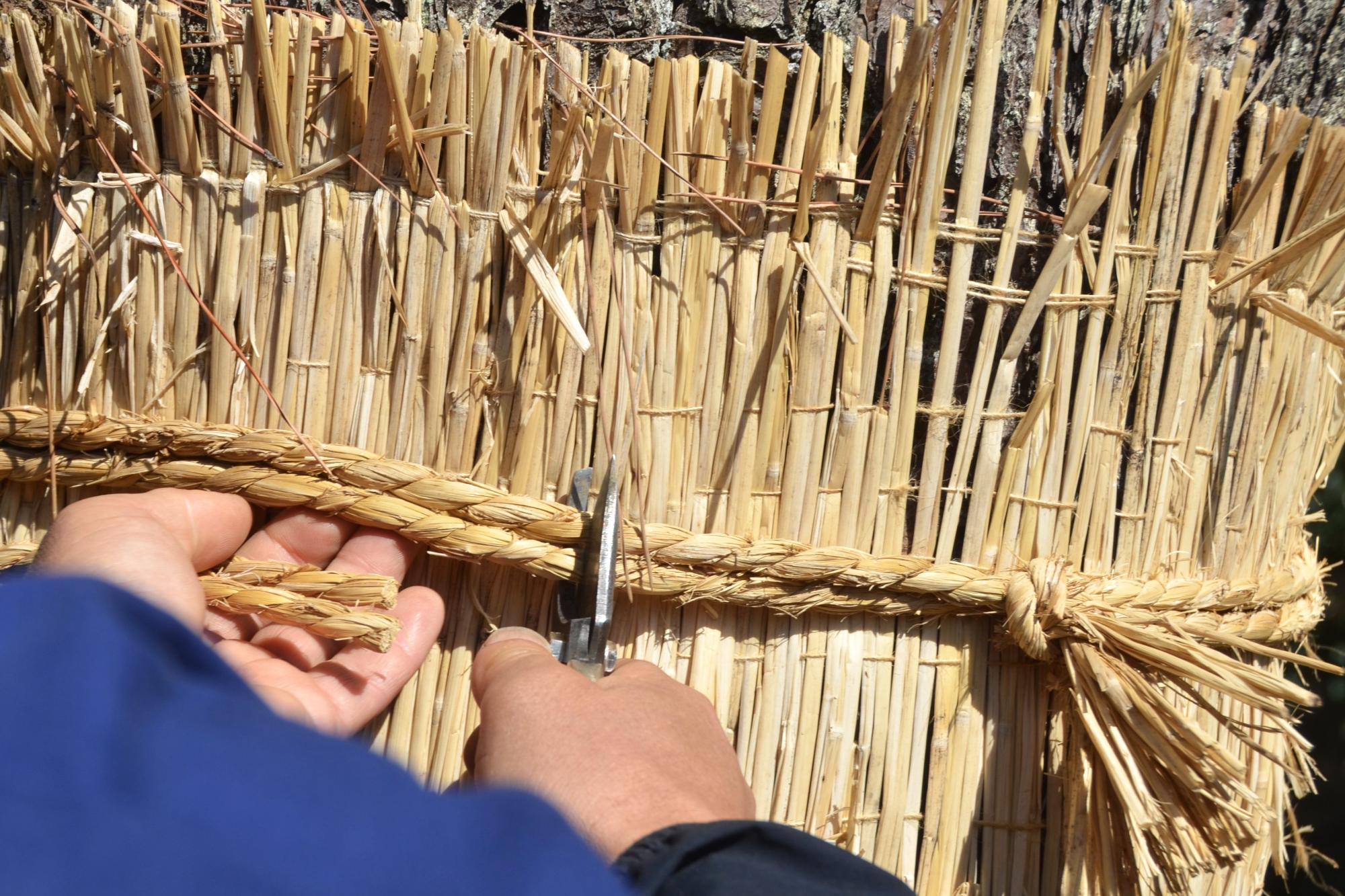菰を取り外す様子
