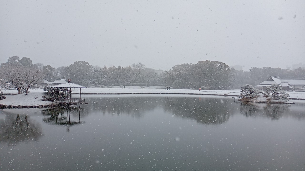 令和8年2月8日雪景色