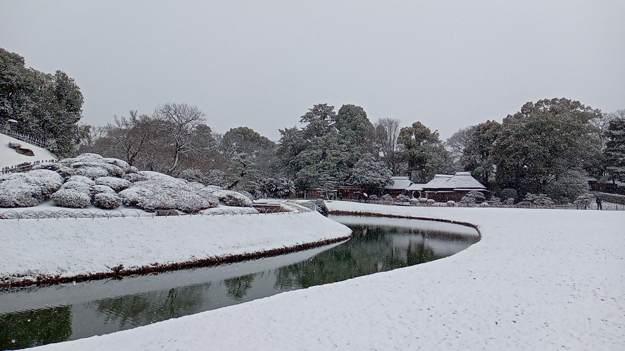 令和8年2月8日雪景色