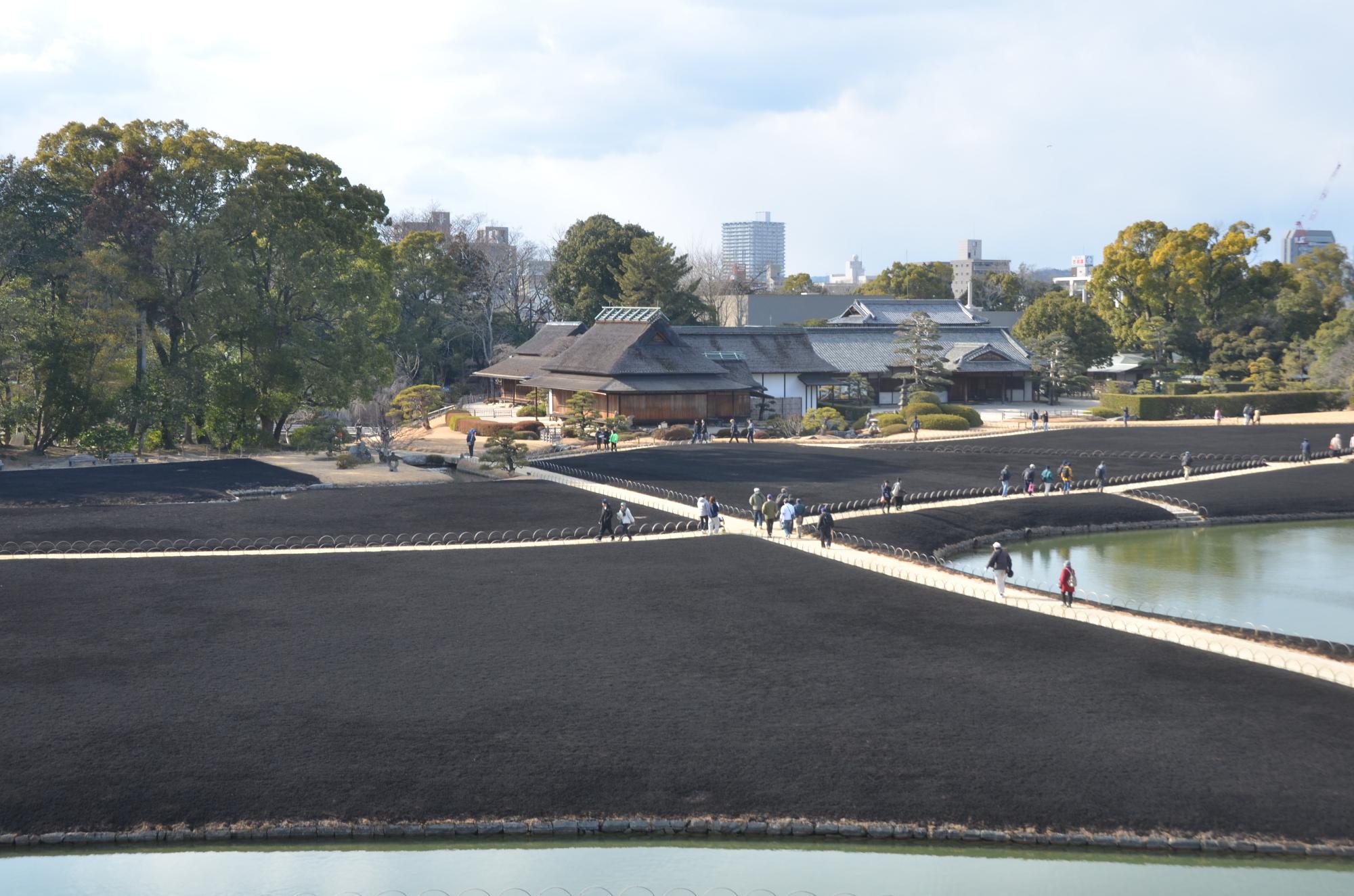令和7年芝焼き後の様子。