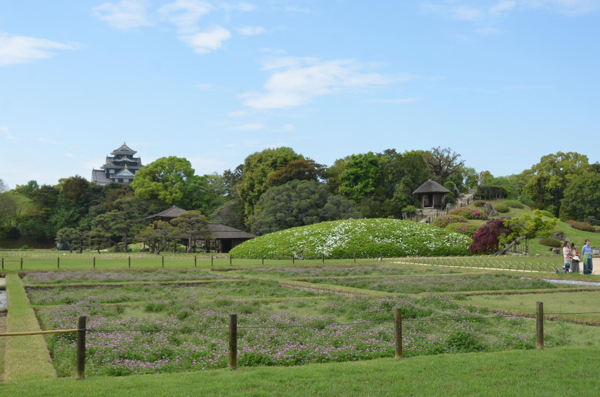 井田のレンゲと唯心山。