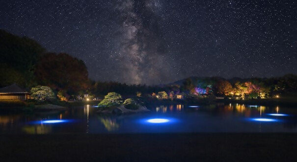 沢の池ライトアップのイメージ。