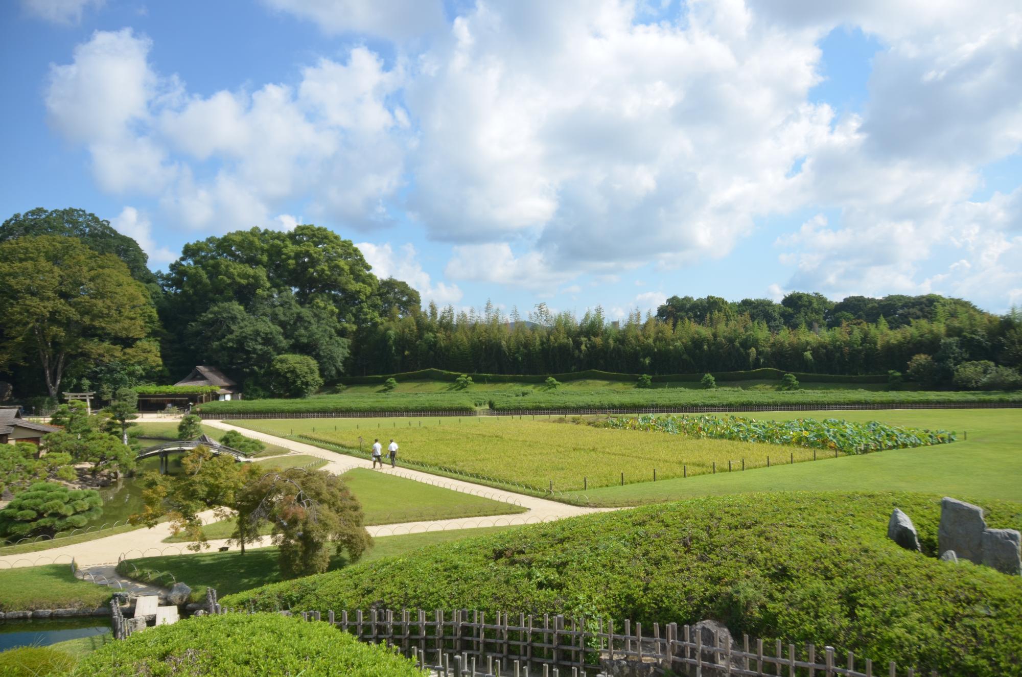 唯心山から眺めた井田。