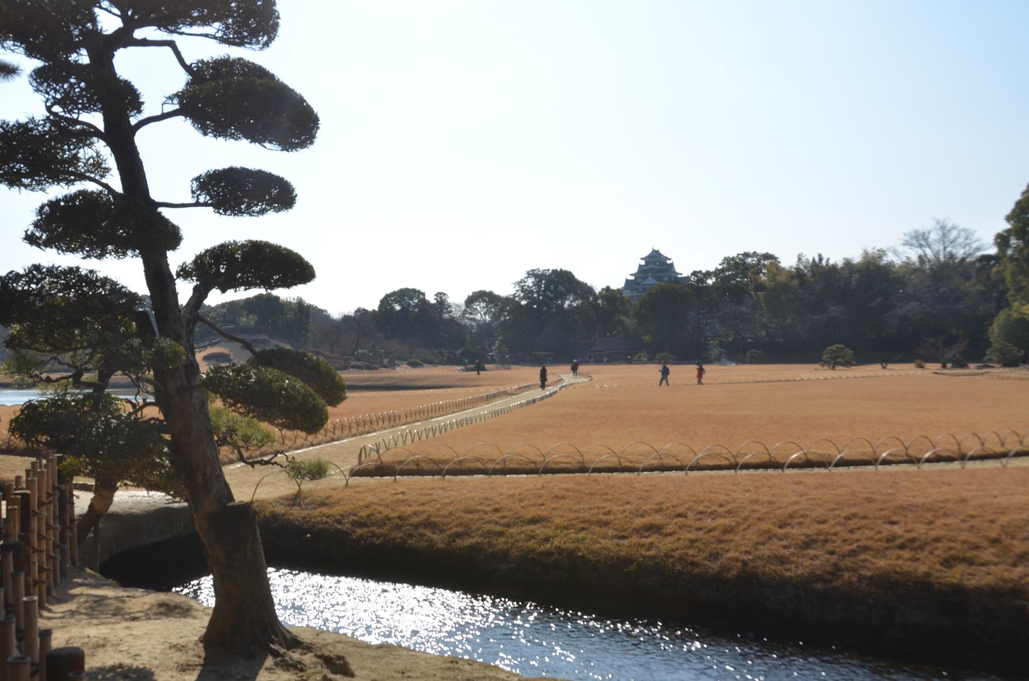 芝焼き前の様子。