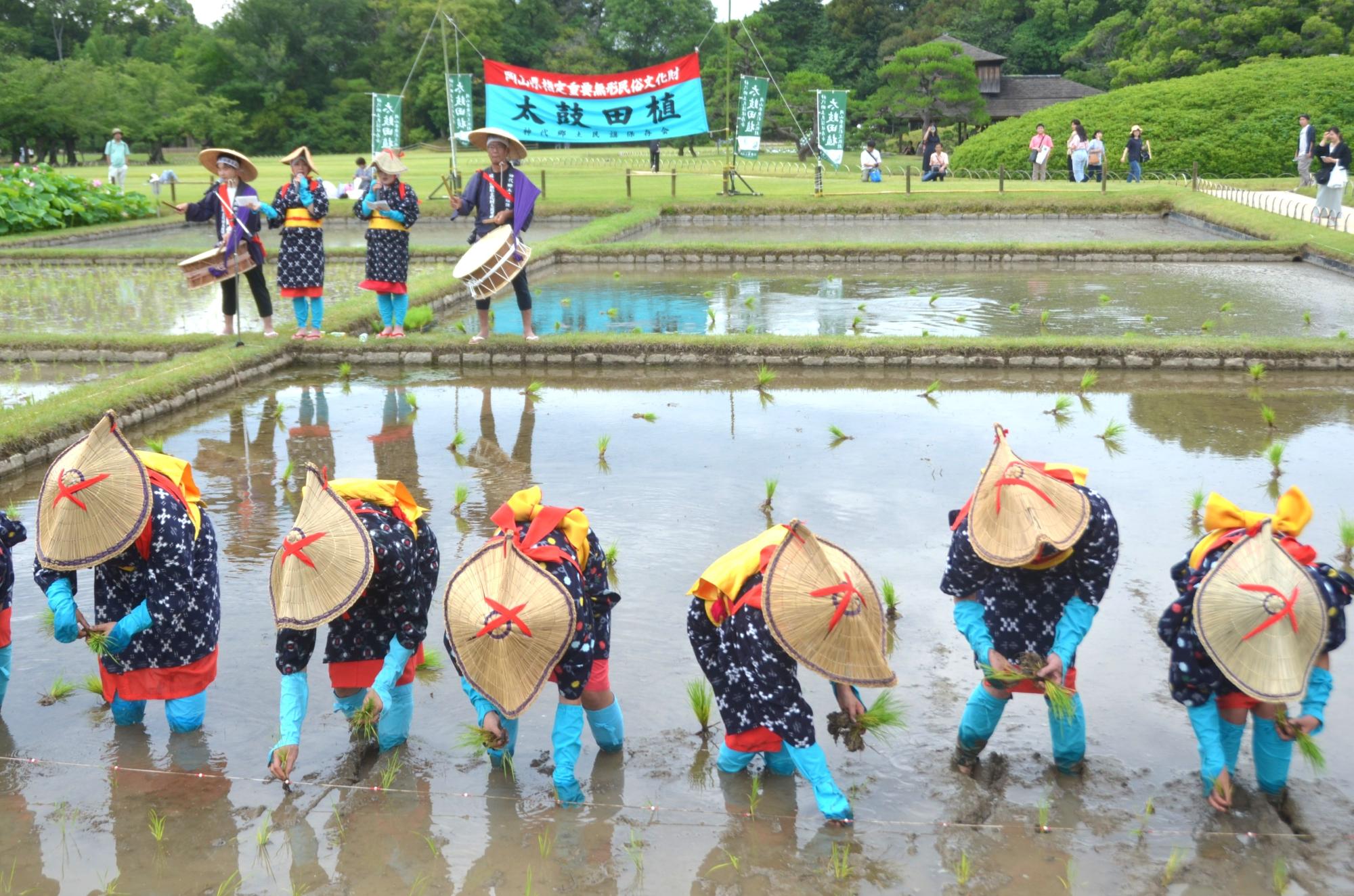 手植えの様子。