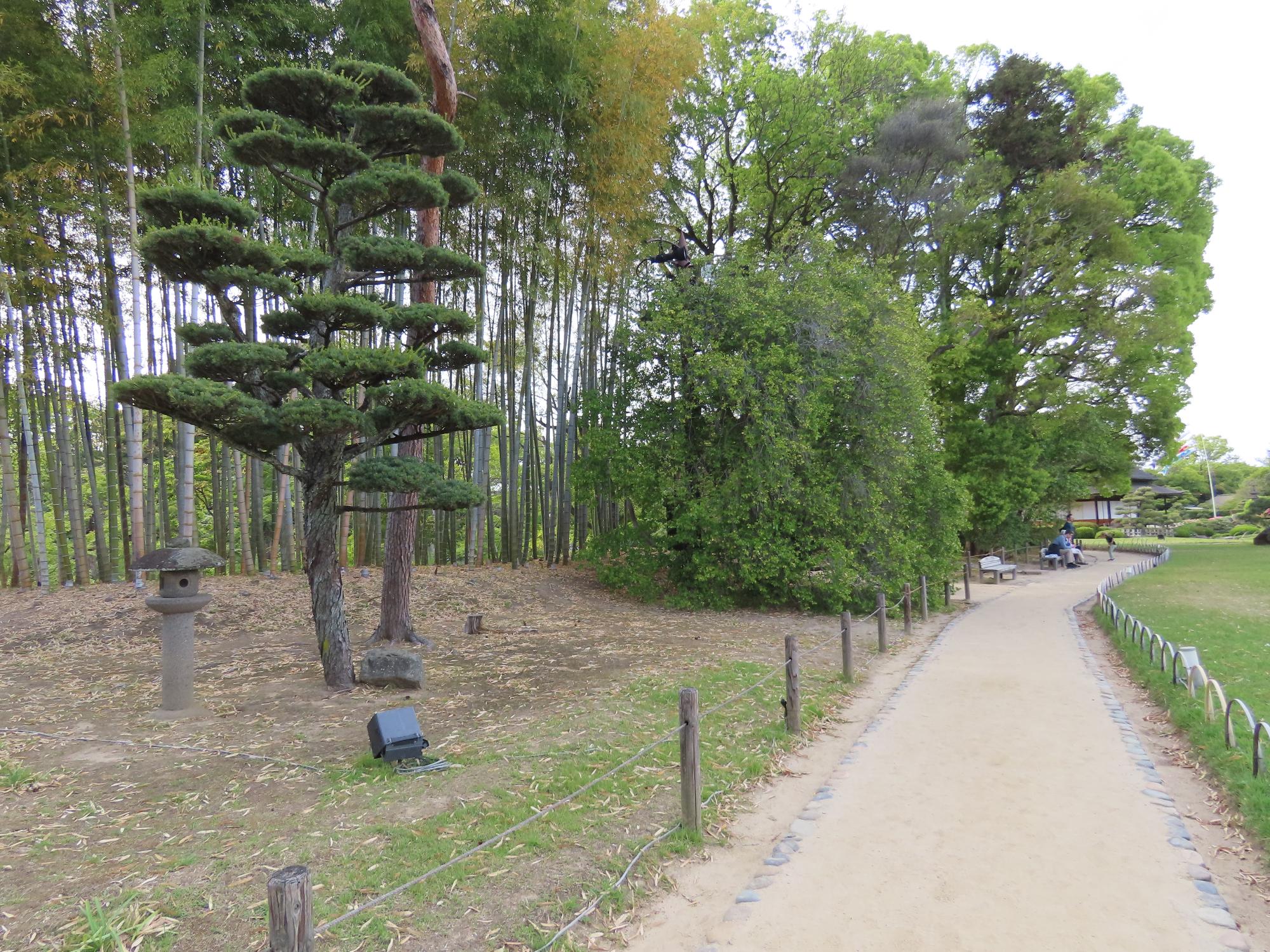 花葉の池東側