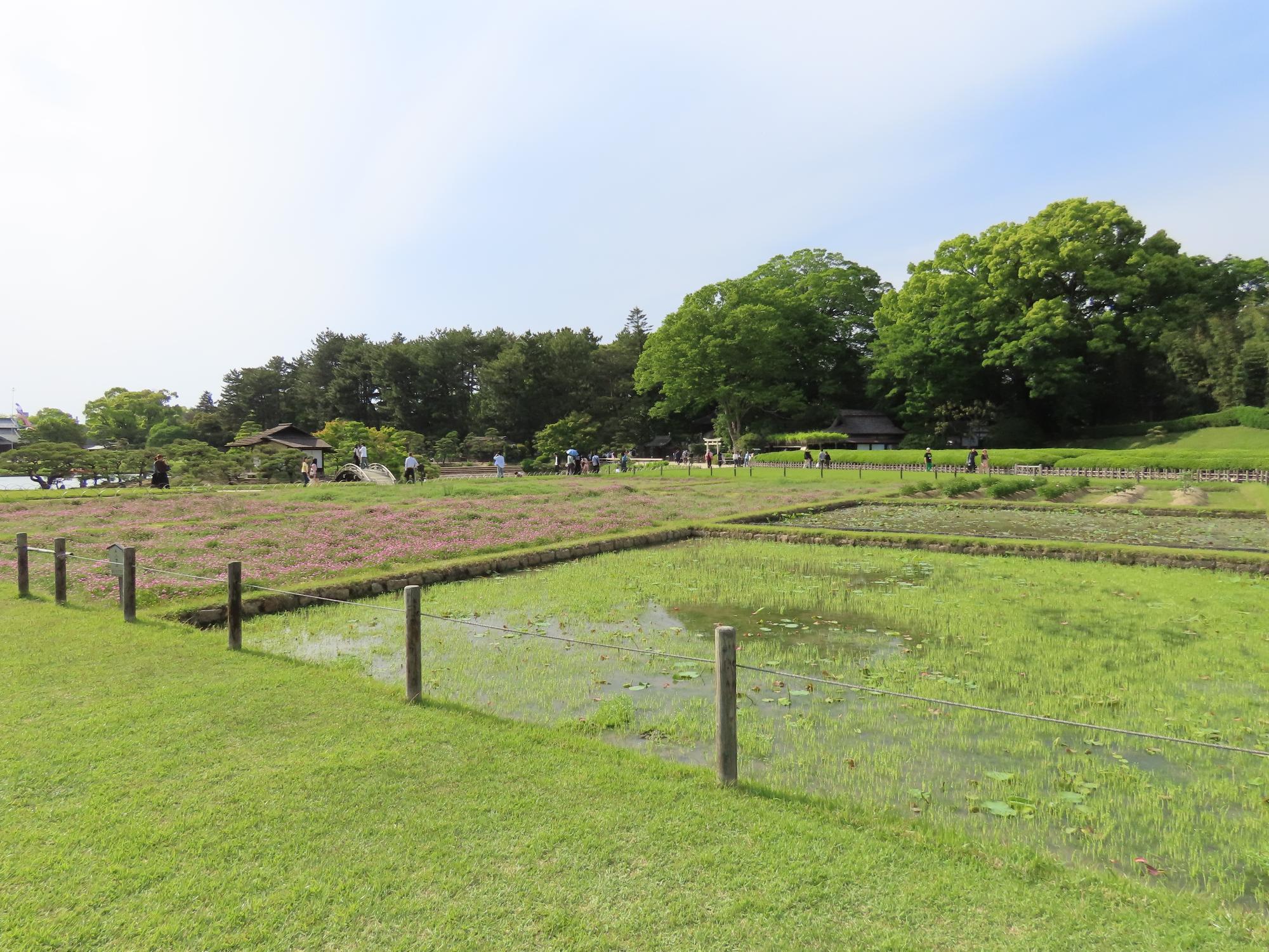 井田