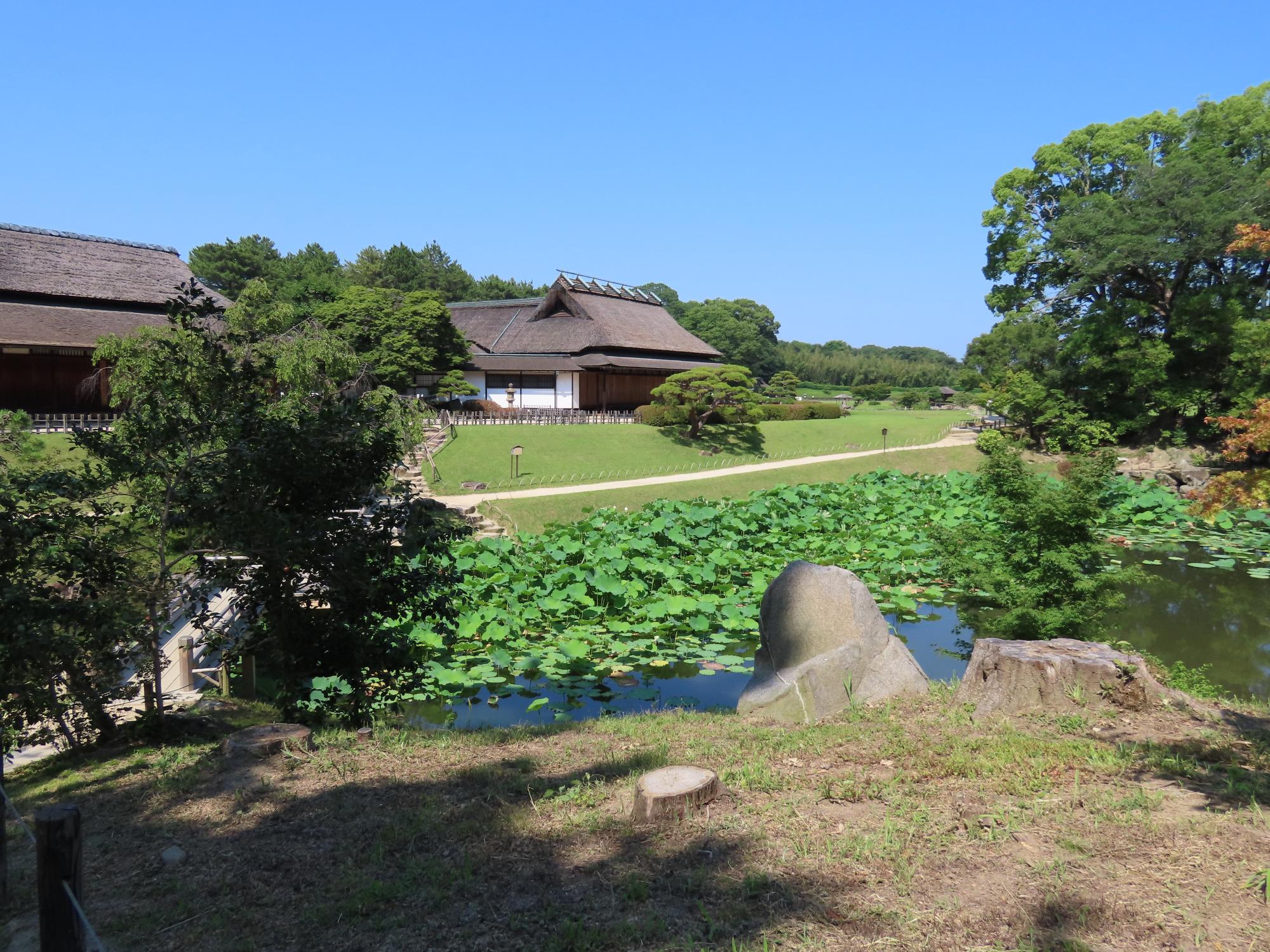 一天四海