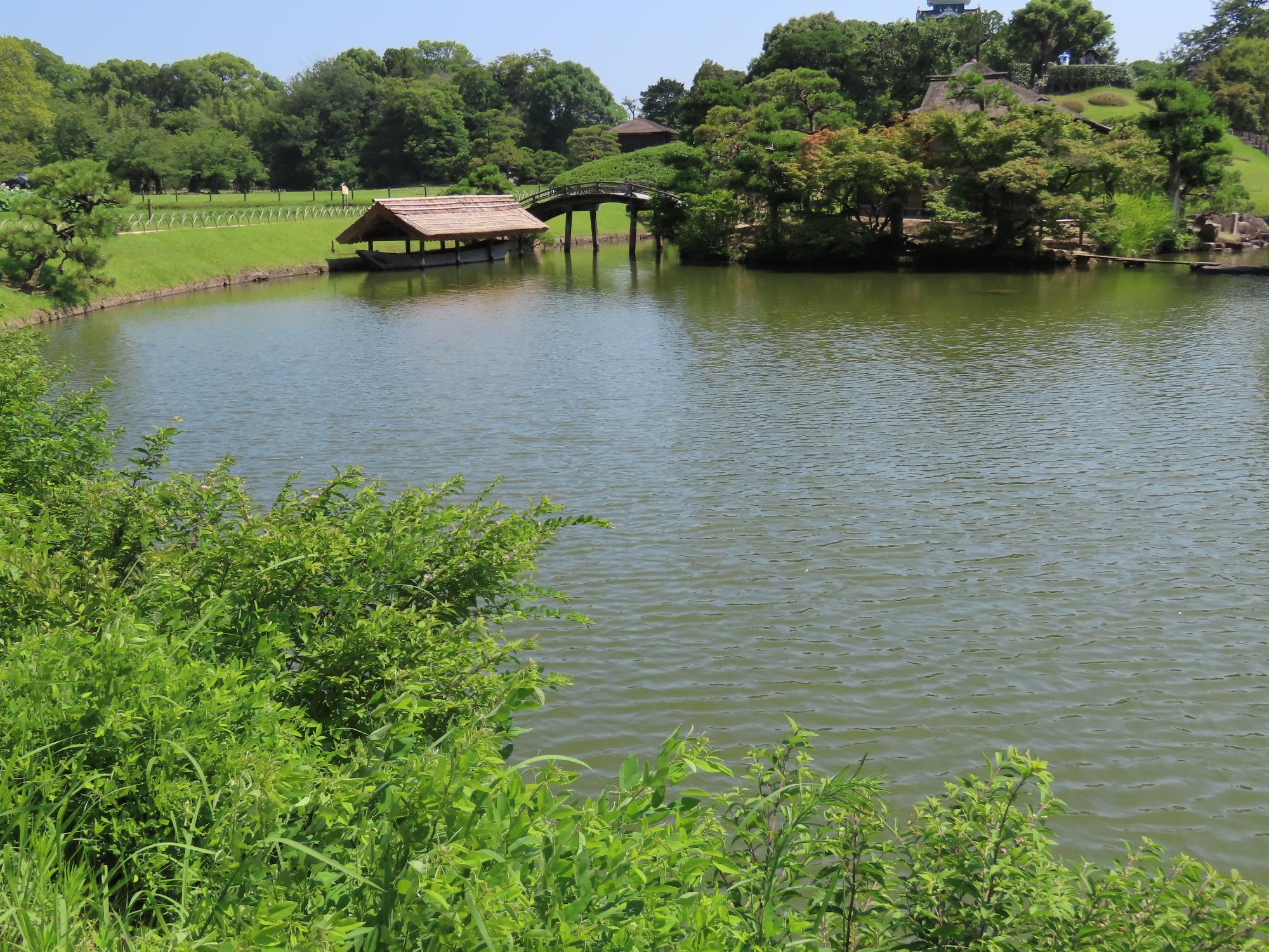 沢の池
