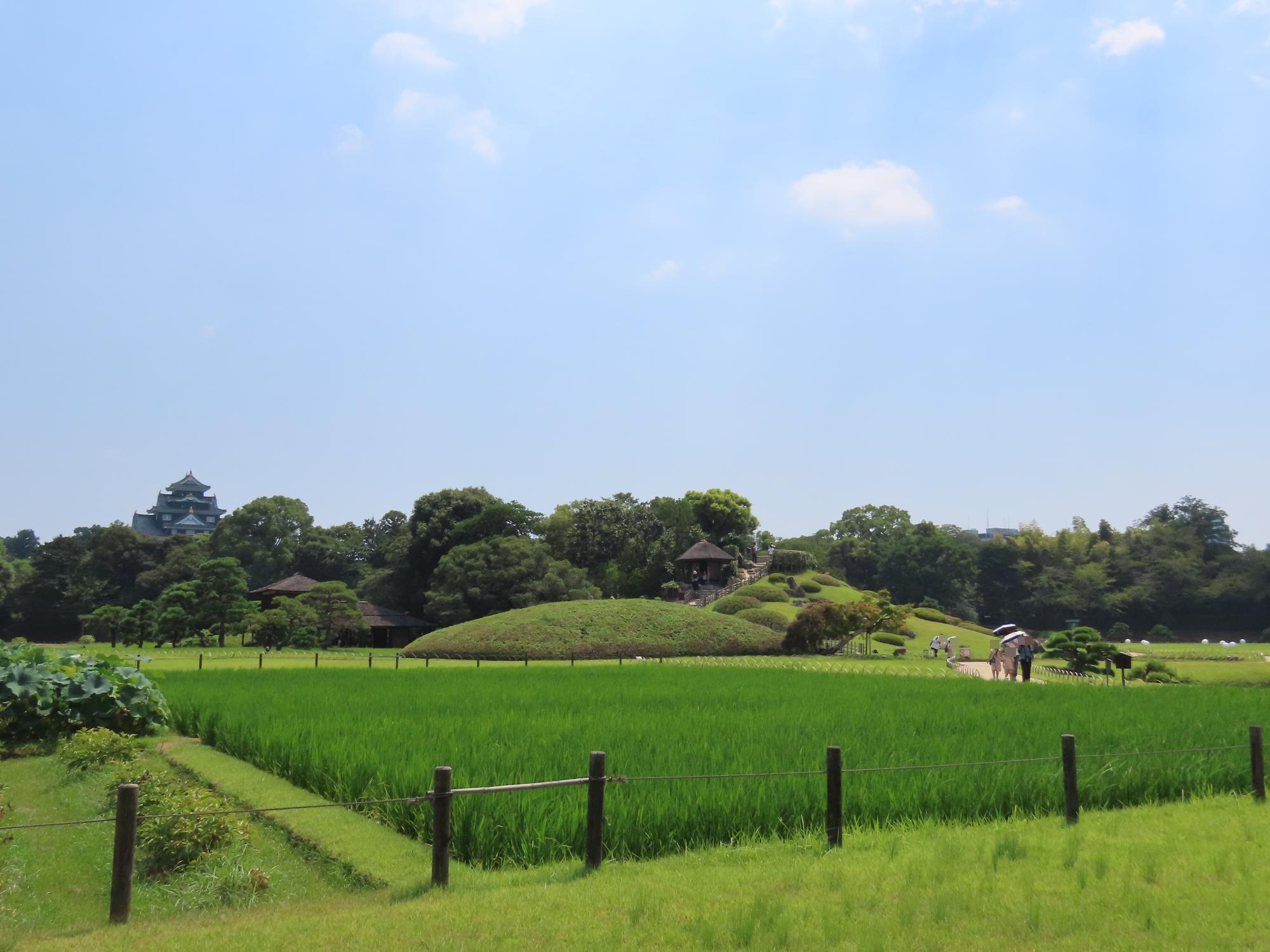井田