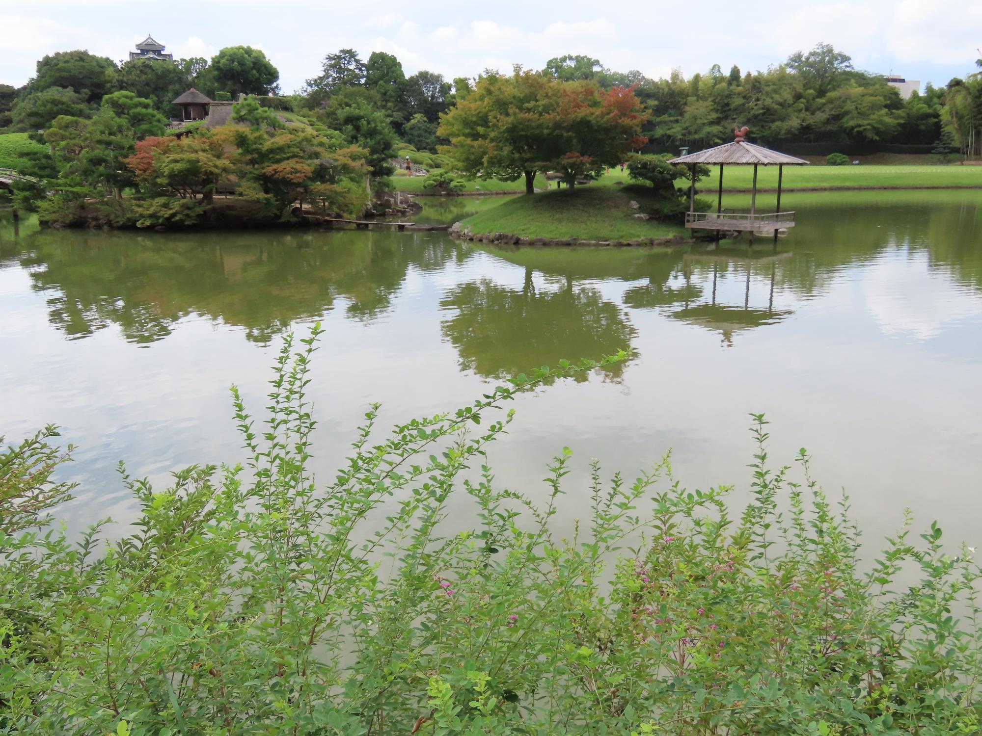 沢の池