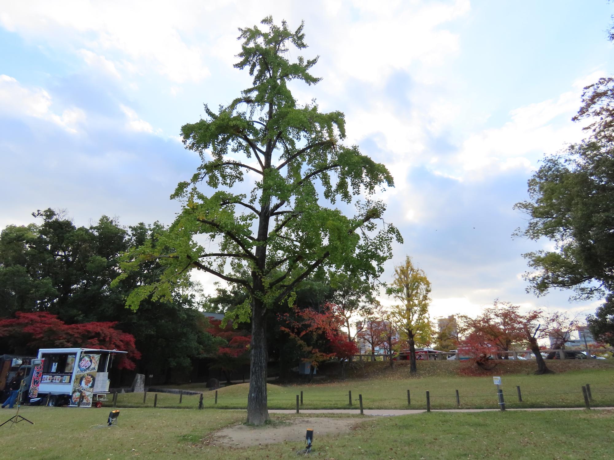 ［場所］西外園