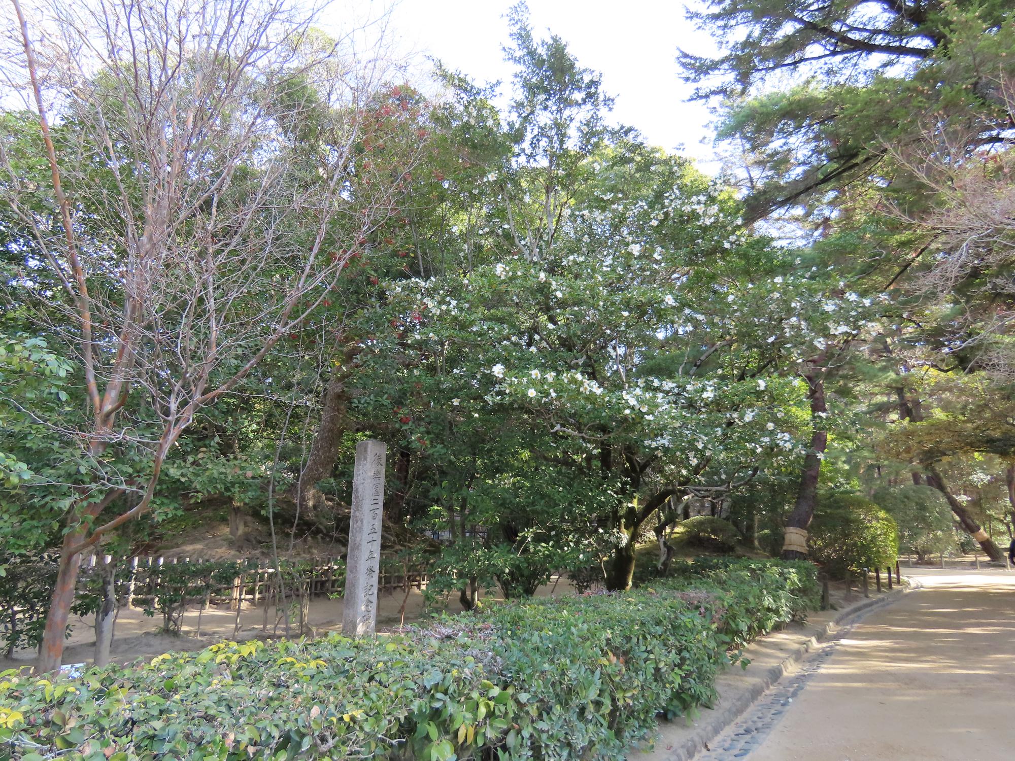 二五〇年碑付近