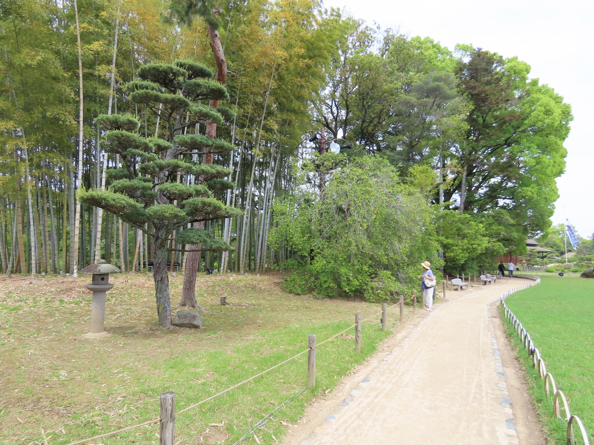 花葉の池（東側）