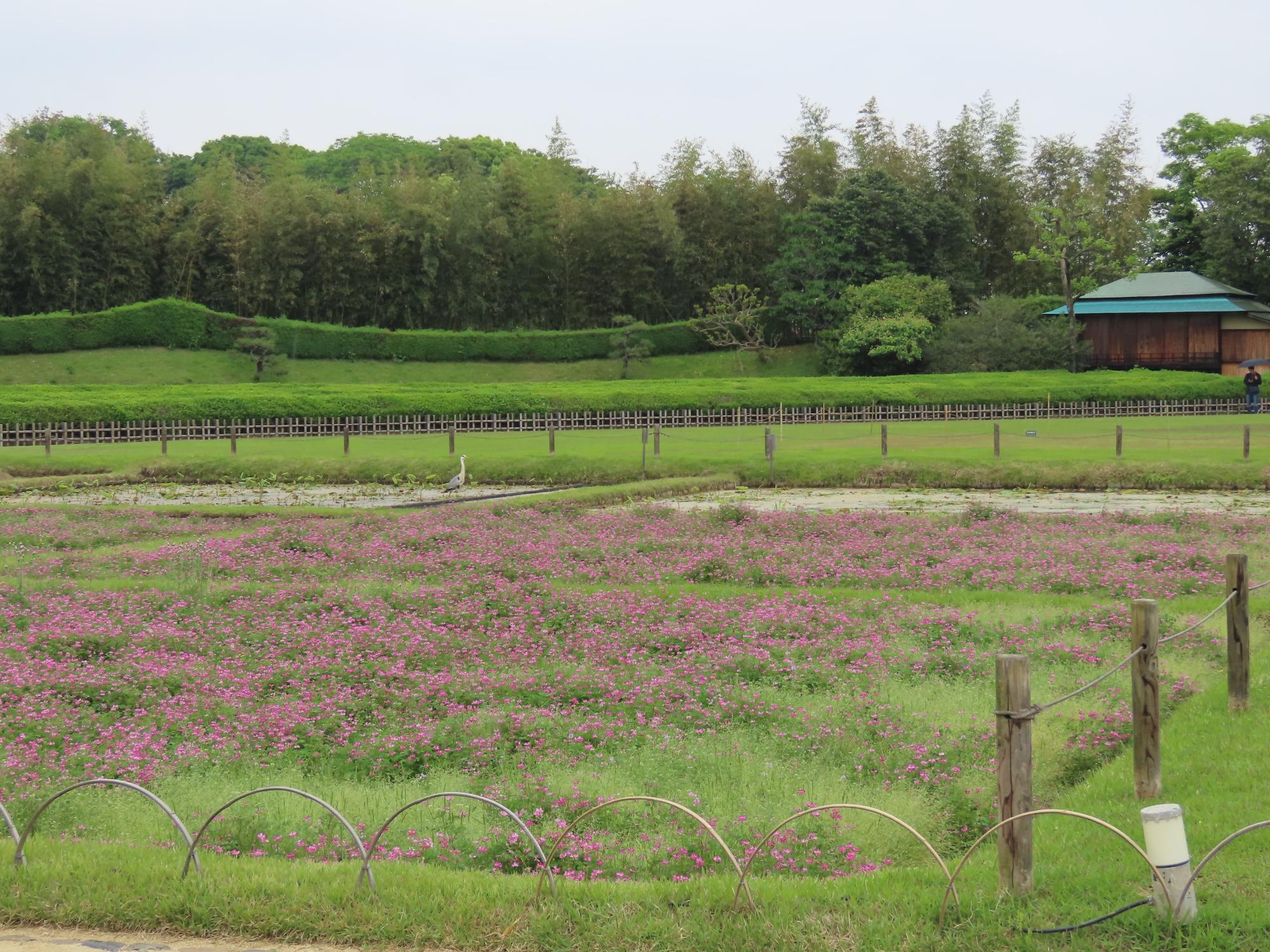 井田
