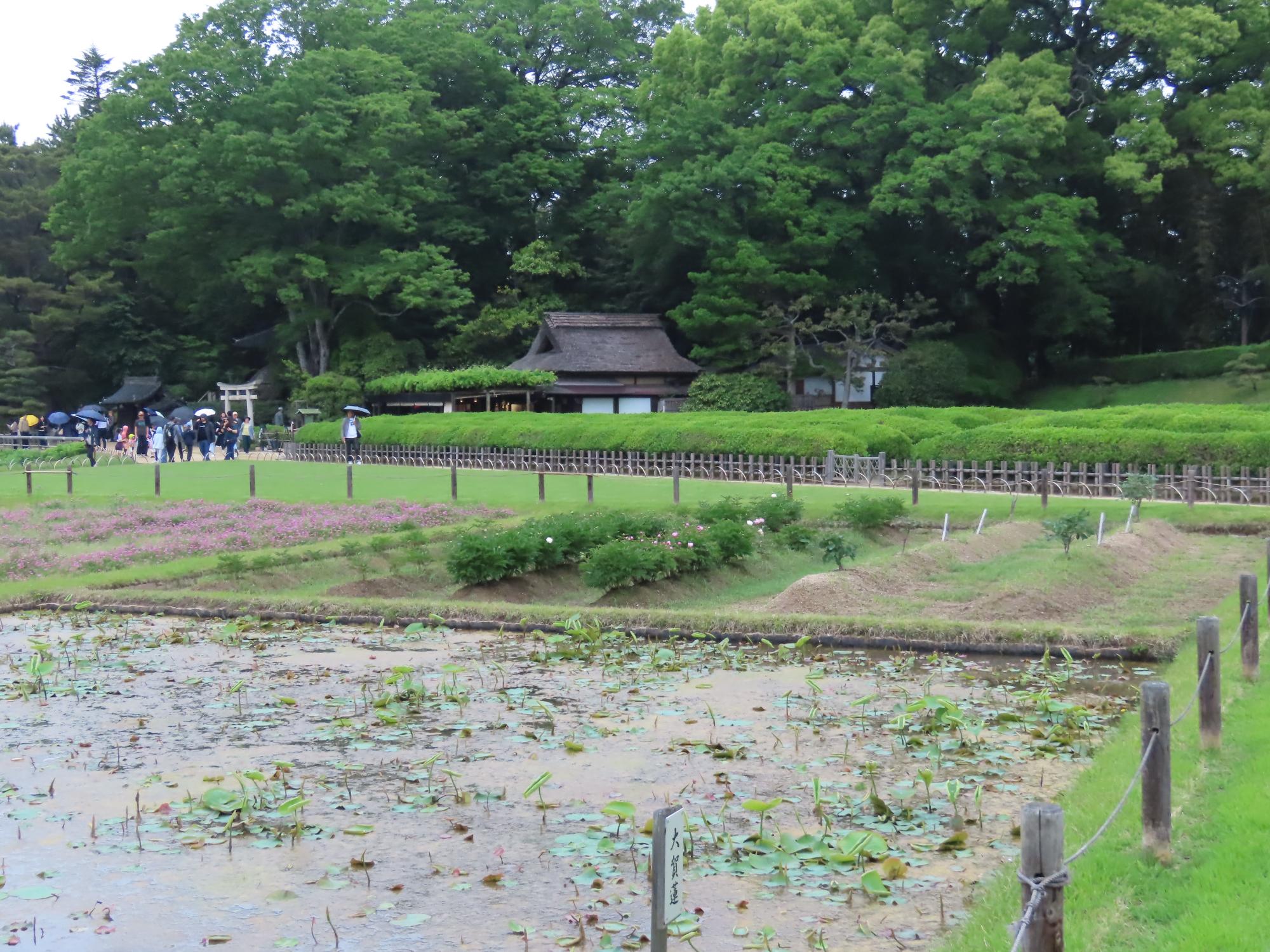 井田
