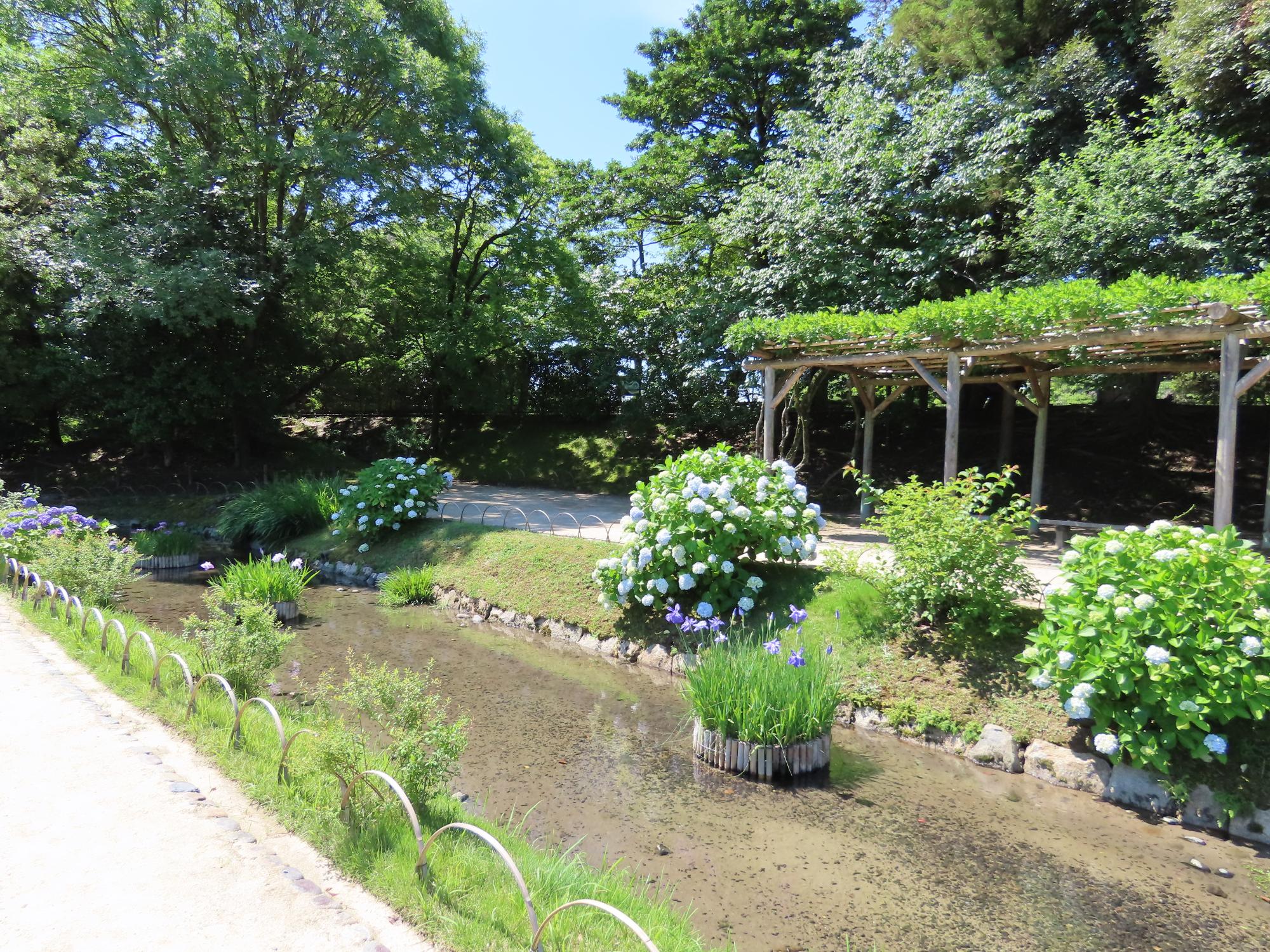 藤棚付近