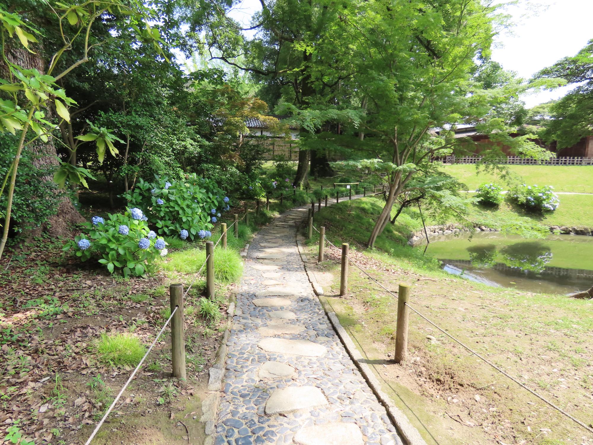 花葉の池西側