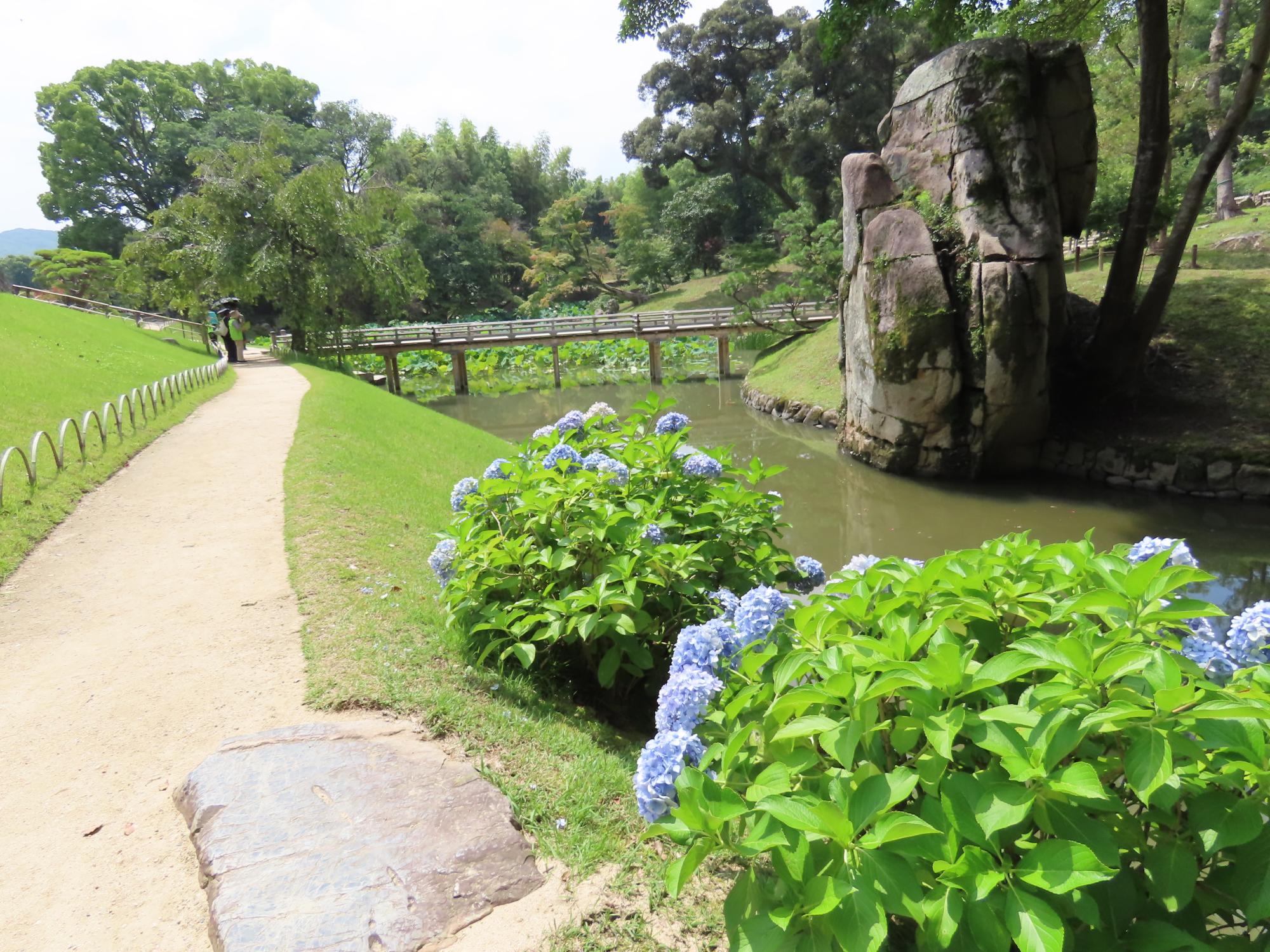 花葉の池西側