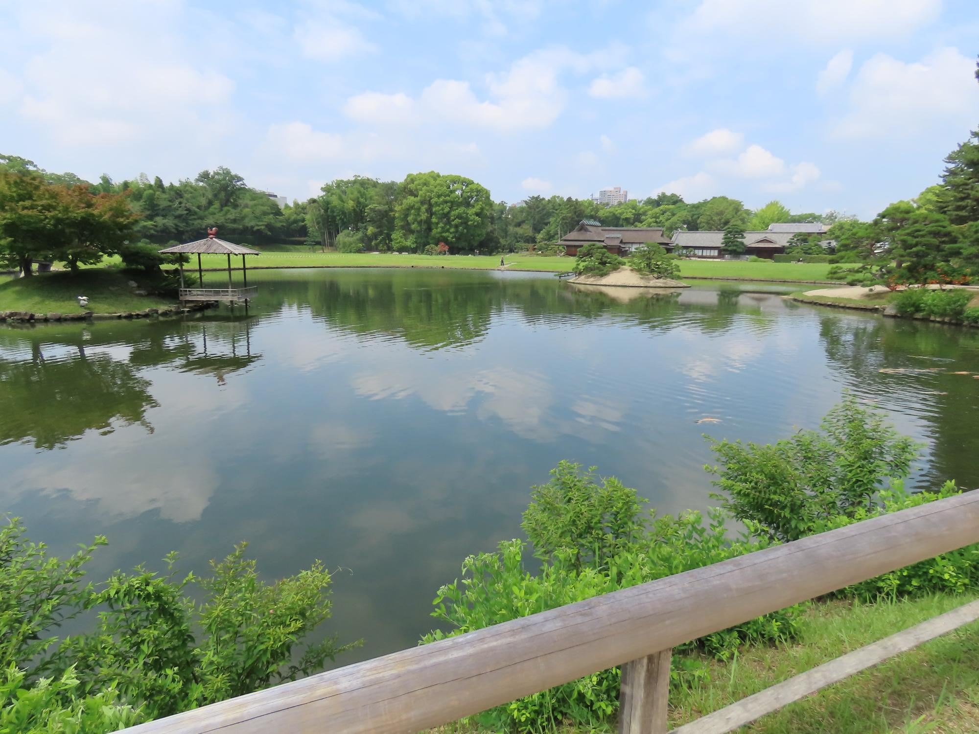 沢の池北側