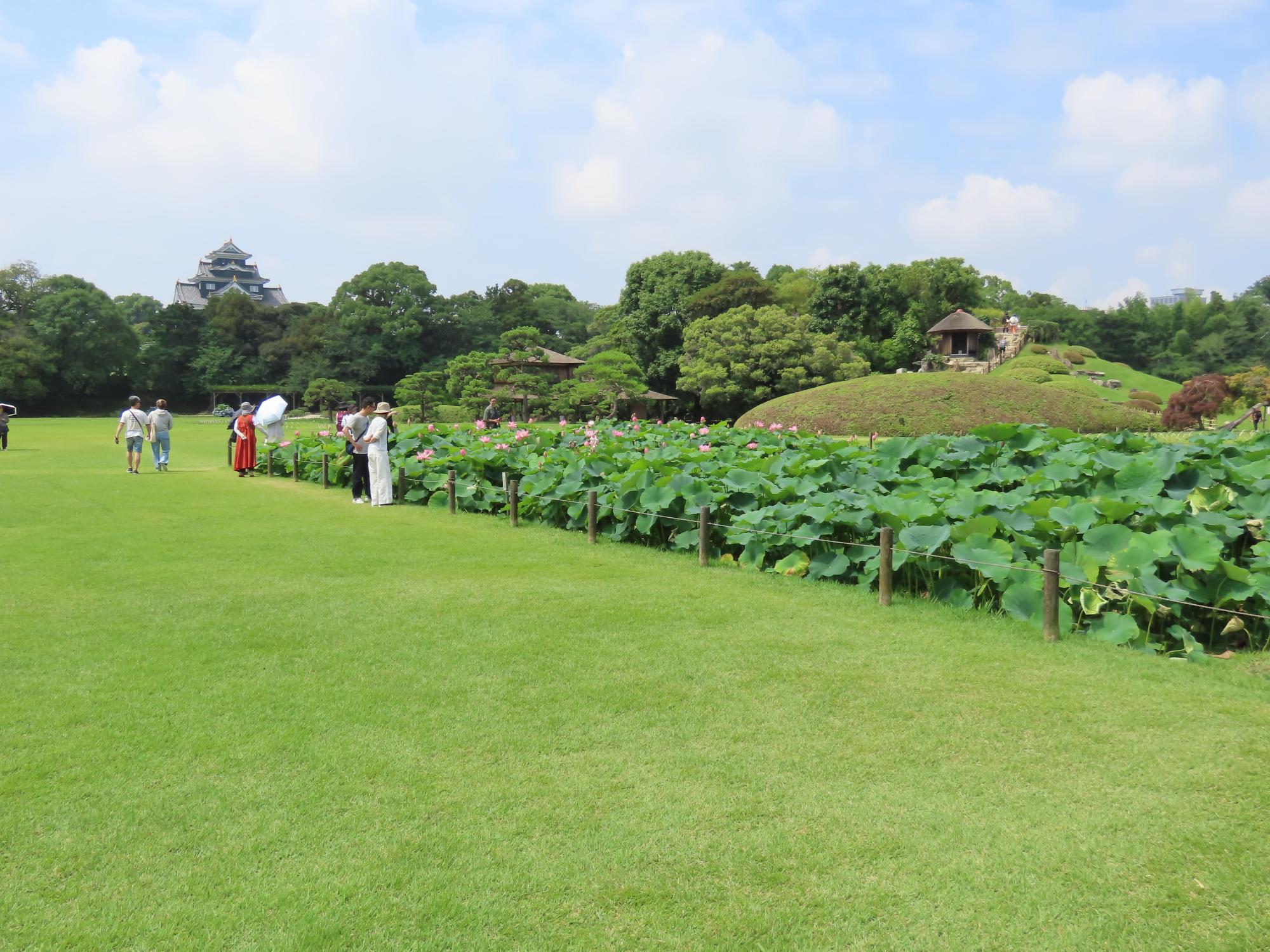 井田