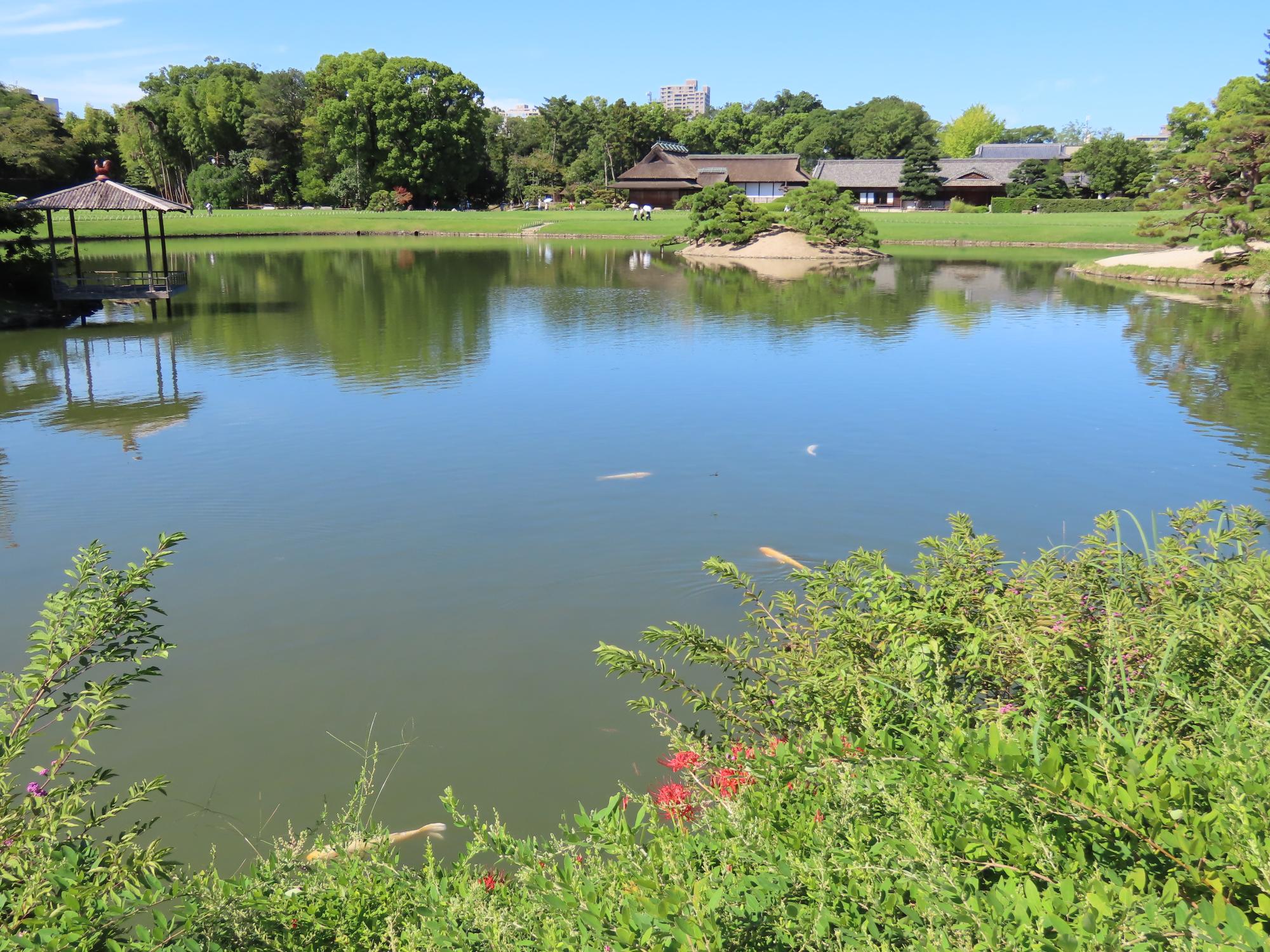 沢の池北側