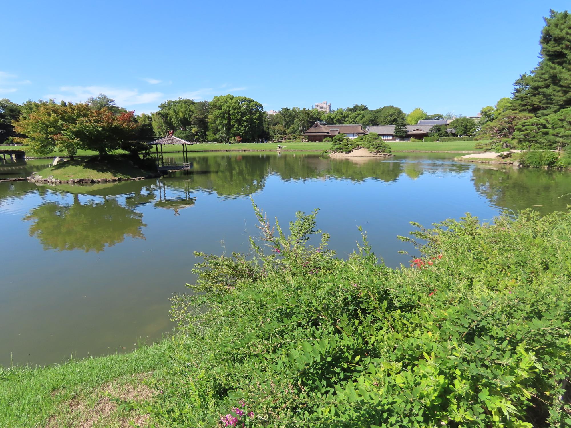 沢の池北側