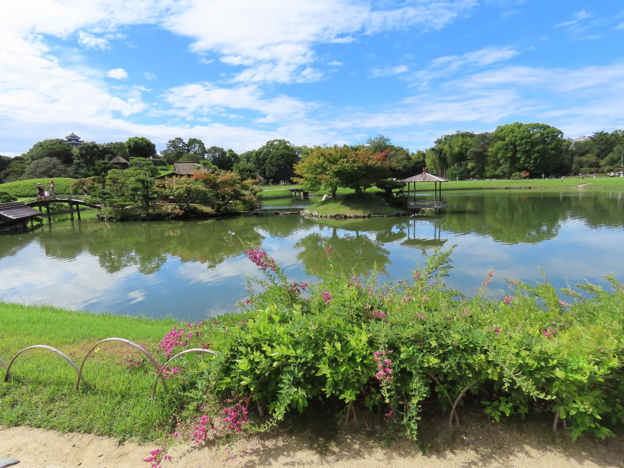 沢の池北側