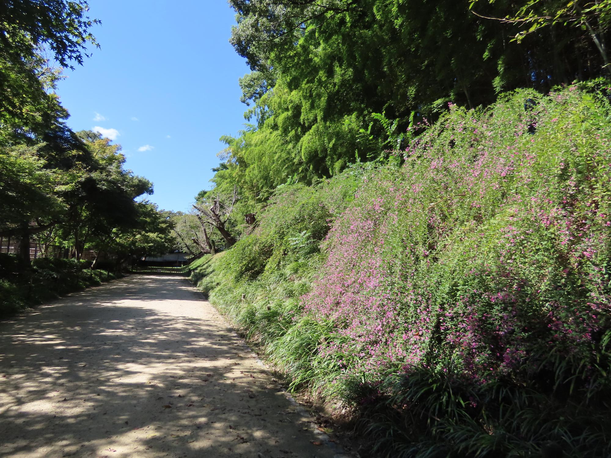 馬場
