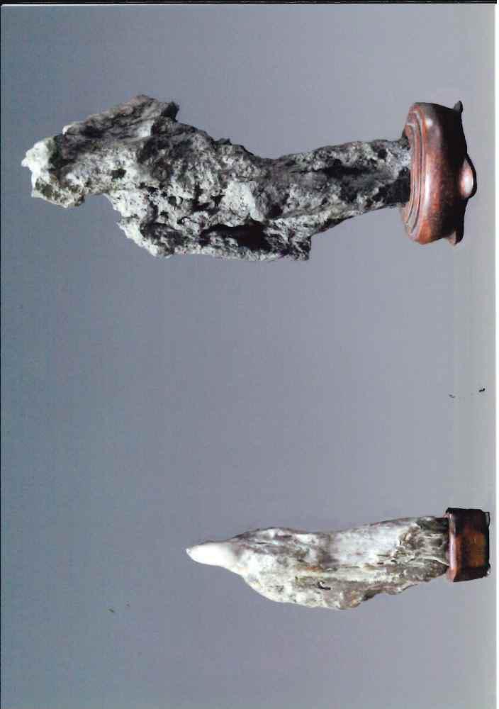 全日本愛石協会2026