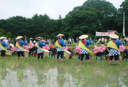 Festival della semina del riso
