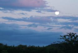 Contemplation du clair de lune