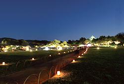 夜間特別開園──幻想庭園